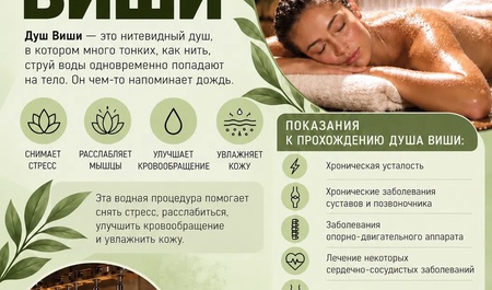 Душ ВИШИ